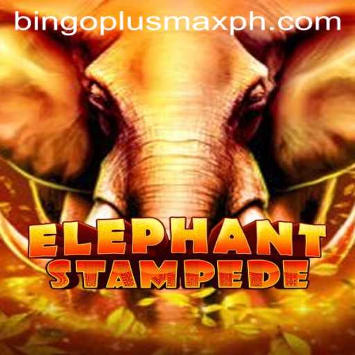 ElephantStampede: An Exciting Gaming Adventure and Bingo Plus Max Twist
